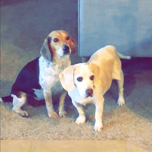 Meet your Posher, Christine - Picture 9 of 16